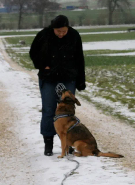 Eine Frau steht auf einem verschneiten Feldweg. Vor ihr sitzt ihr Hund an der Leine und schaut aufmerksam zu ihr hoch.